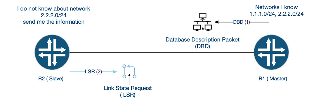 Database Description Packet